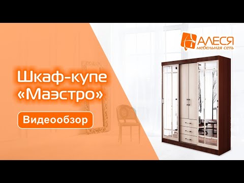 Шкаф-купе 'Маэстро'