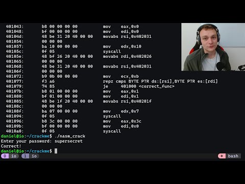 Reverse Engineering Pure Assembly