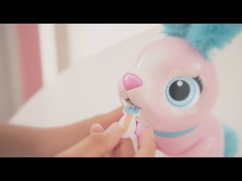 ハロー！はらぺこラビットと遊ぼう！！【Kanonちゃん】【オムニボット】