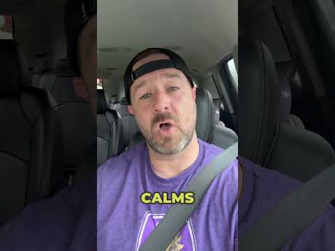 Jesus is Him. 2025 Bible In A Year - Day 155 of 365 Complete #bibleinayear #christianleadership