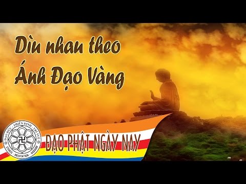 Dìu nhau theo ánh đạo vàng