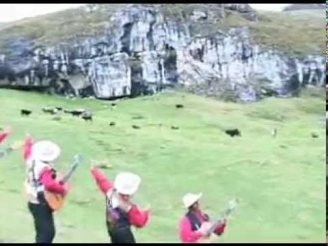 Conjunto Aficion Sangre Grauina Vol.1 -Toro Mascay