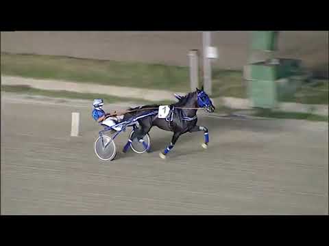 Napoli Trotto 25/08/2023 - prova di riqualifica