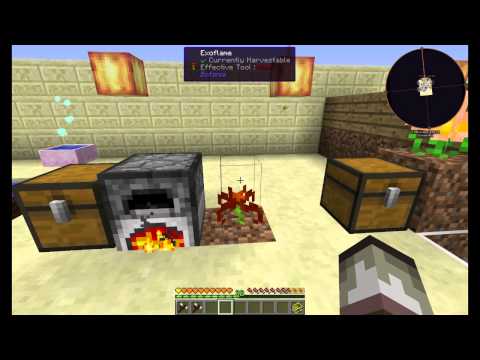 Botania Kezdőknek 5. Békés növények :D