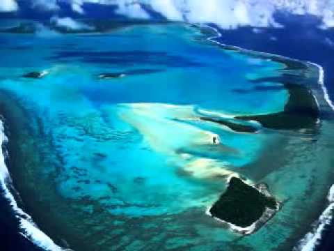 Dj Speciale - Everybody