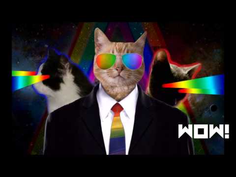 Wow! [Audio] | Creep Nation