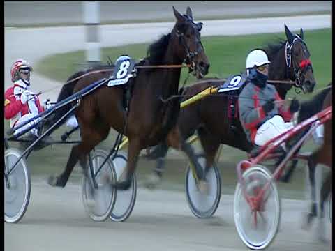 Trotto 09/12/2018 - 4ª corsa - G.P. MIPAAFT Allevamento Filly