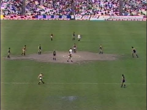 1991 SANFL 1ST SEMI FINAL WEST ADELAIDE VS EAGLES