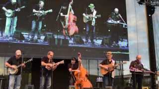 CALIFORNIA COTTONFIELDS  by SELDOM SCENE