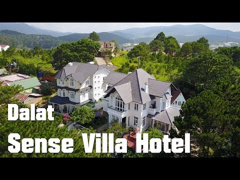 🛌 Review khách sạn SENSE VILLA ĐÀ LẠT - Biệt thự kiến trúc Pháp ở Đà Lạt | Hoa N Don