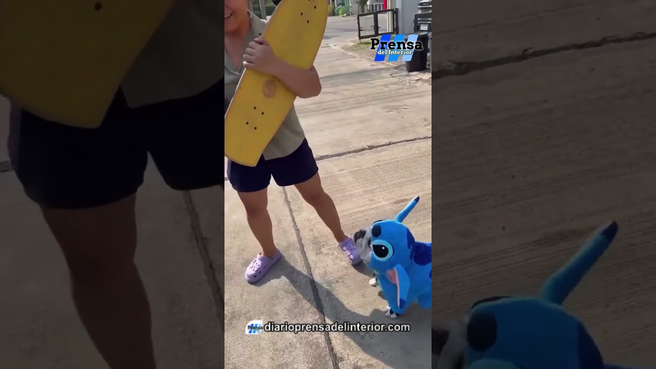 EL PERRO STITCH NO EXIS…