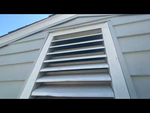 Preventing Hornets and Nuisance Wildlife from Infesting this Home in Wannamassa, NJ