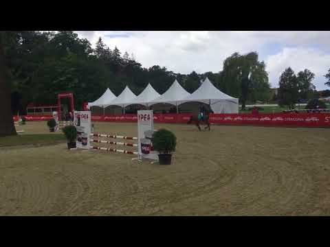 I pół finał Majka i Niwka Strzegom