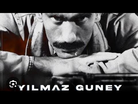 yılmaz güney-sen hiç aşık oldunmu?  #mix #çirkinkral #yılmazgüney #tiktok #muhammetışık