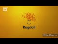 Ragdoll DHX Tinopolis S4C 2013