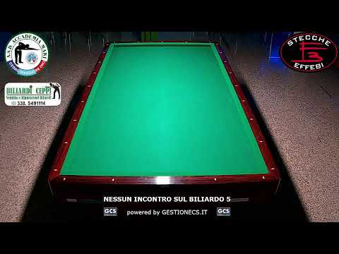 ORLANDO F. VS GIORGIO G.