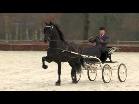 Markus 491 Centraal Onderzoek 2015