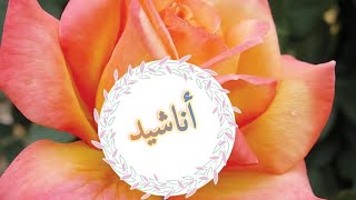 سوف نمضي في دروب الحق دنيانا ودين ️ we will proceed in the paths of truth in our world and religion
