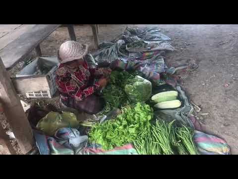 Many Sellers at Phnom Thom Market Seller Many kind of Food