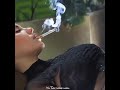 Girl Smoking Cigarette Petty Female Smoking Cigarette Video