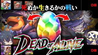 【パズドラ】死ぬか生きるかの戦い―。１点狙いを賭けた運命のハロウィンガチャ。【ゆっくり実況】【ハロウィンユークス３部作】