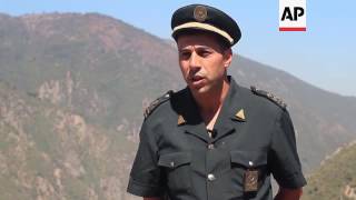 Monkey in decline due to tourist feeding habits