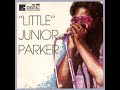 Little Junior Parker - Sonny Lester Collection [1990]