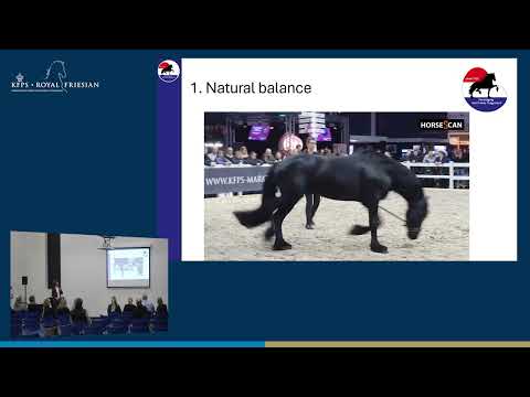 HK 2026 – Theory of harnessing | Vereniging het Friese tuigpaard
