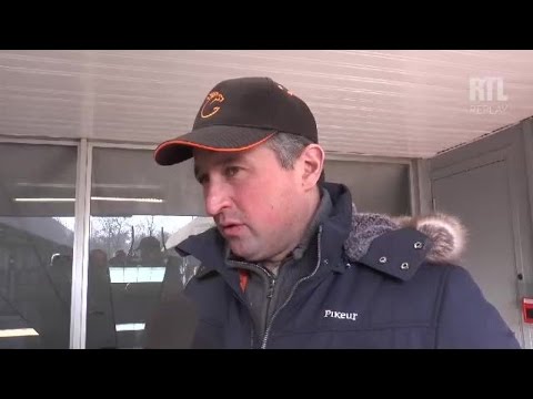 Prix d’Amérique 2017: Sébastien Guarato presents Bold Eagle