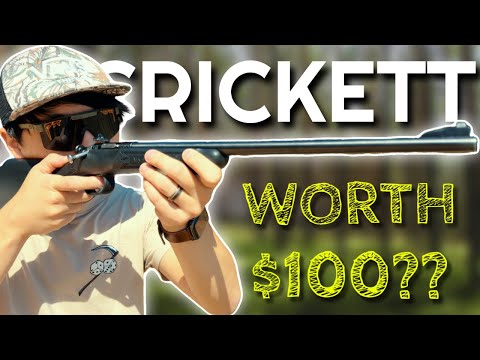 Keystone Crickett Rifle 22LR Review: Best Gift Of 2024?