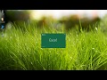 TUTORIAL CURSO DE EXCEL COMPLETO Capitulo 0