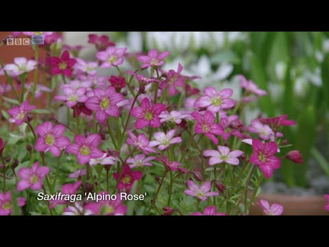 Gardeners World 2021 Episode 03 ~Easter Special