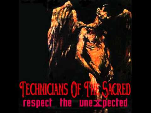 The Technicians - Shell