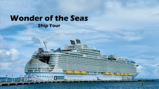 Wonder of the Seas Ambient Walk through Tour