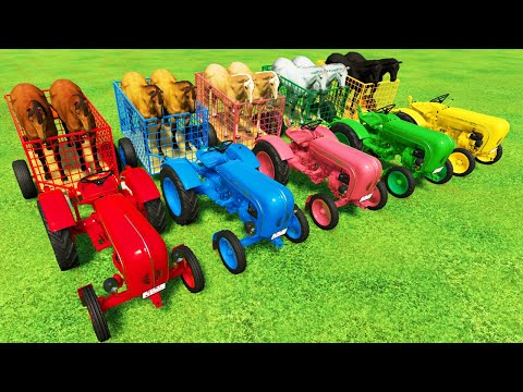 LOAD & TRANSPORT HORSES WITH MINI PORSCHE COLORED TRACTORS - Farming Simulator 22