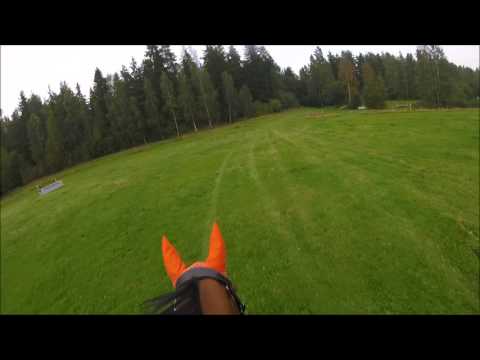 Kerava tuttari 21 8 2016 maasto