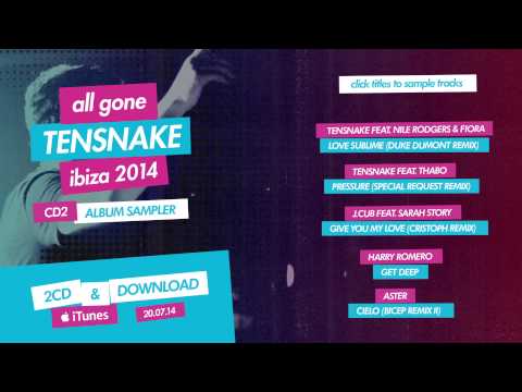 All Gone Tensnake Ibiza 2014 - Tensnake Album Sampler