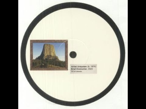 Unknown Artist - Brief Encounter