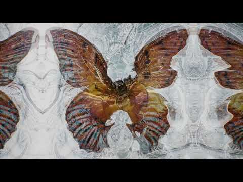 Shygirl - Shlut ft. Sevdaliza (Official Visualiser)