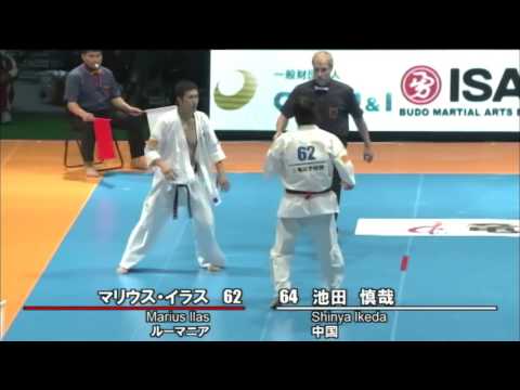【新極真会】 The 11th World Karate Championship Men 2nd round24 Marius Ilas vs Shinya Ikeda