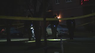 16-year-old boy fatally shot in Des Plaines ID'd by Cook County ME