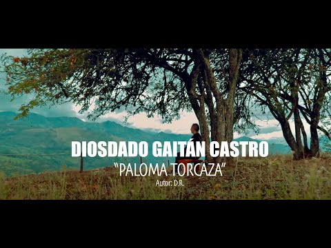 Paloma Torcaza - Diosdado Gaitán Castro (Video Oficial)