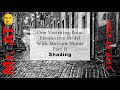 One Vanishing Point Perspective Model with Multiple Points. Part II. The Shading.