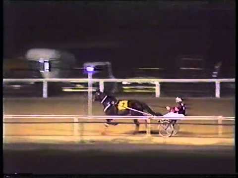 1990 Bathurst Gold Crown harness race