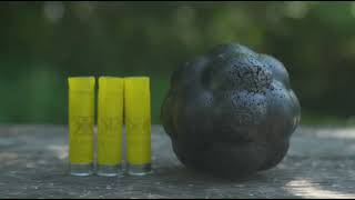 MONSTER K9 The Last Dog Toy You’ll Ever Need — Prove Us Wrong