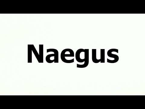 How To Say "Naegus" Correctly