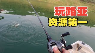 路亚最重要的是什么，是资源！