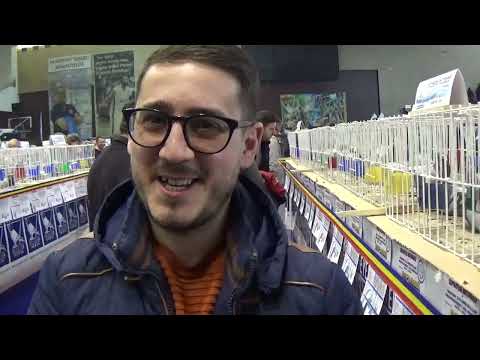 Interviu columbofil dl Chirita Alexandru Dambovita Romania 28 ian 2023