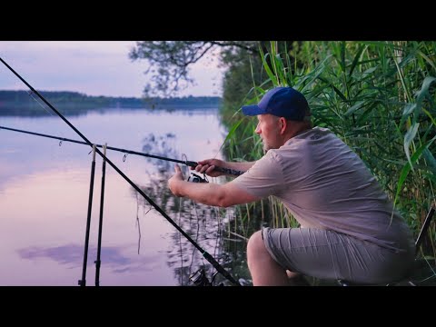 Ansitz auf Zander, Barsch und Aal mit der Feederrute.