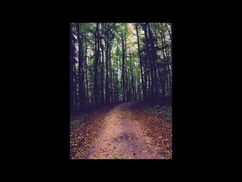 Žan Bregar - Jesenski gozdovi